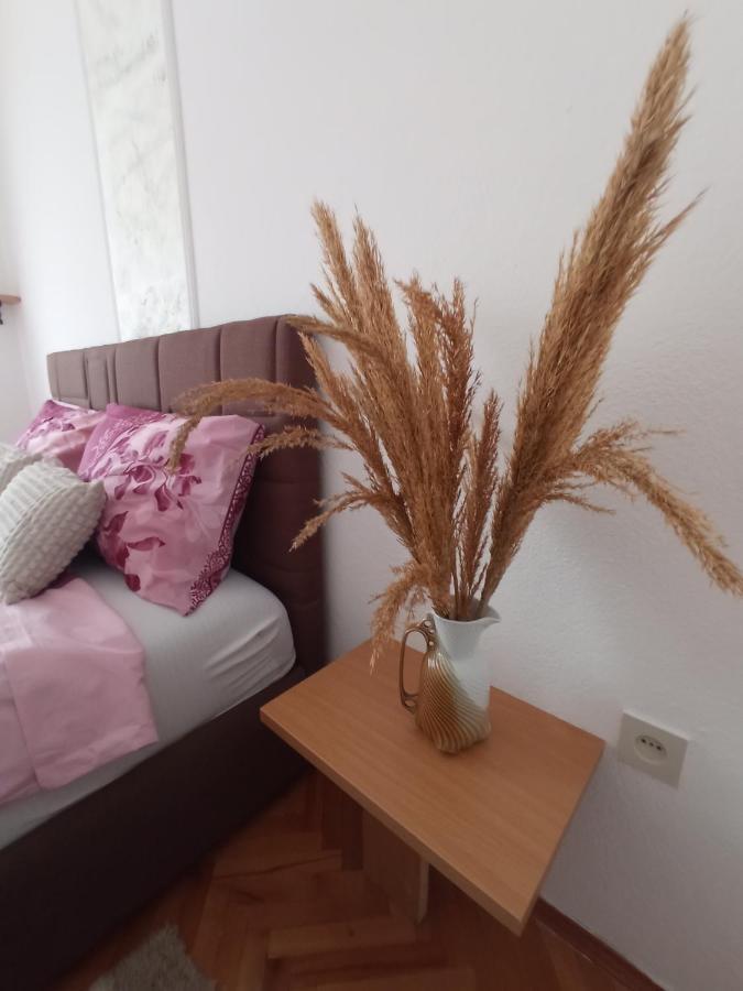 טרביניה Apartman Maja מראה חיצוני תמונה